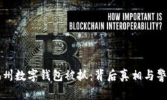 福州數(shù)字錢包被抓：背后