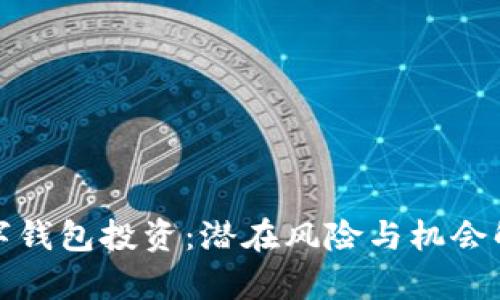 數(shù)字錢包投資：潛在風(fēng)險(xiǎn)與機(jī)會解析