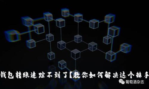 數(shù)字錢包轉(zhuǎn)賬追蹤不到了？教你如何解決這個棘手問題