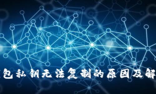 小狐錢(qián)包私鑰無(wú)法復(fù)制的原因及解決方法