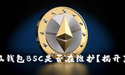 小狐錢包BSC是否在維護(hù)？揭開真相