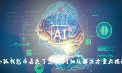 小狐錢(qián)包幣丟失了怎么辦