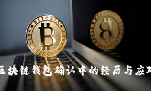 轉(zhuǎn)賬區(qū)塊鏈錢包確認(rèn)中的經(jīng)歷與應(yīng)對策略