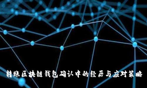 轉(zhuǎn)賬區(qū)塊鏈錢包確認(rèn)中的經(jīng)歷與應(yīng)對策略