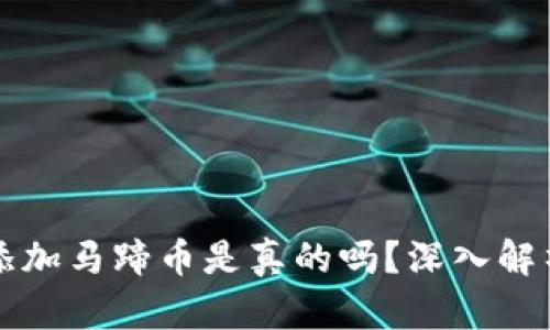 小狐錢包添加馬蹄幣是真的嗎？深入解析背后真相