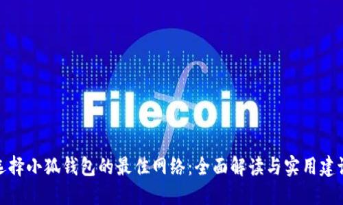 選擇小狐錢包的最佳網(wǎng)絡：全面解讀與實用建議