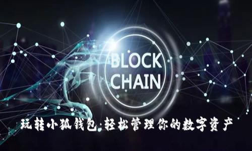 玩轉(zhuǎn)小狐錢包：輕松管理你的數(shù)字資產(chǎn)