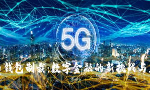 加密貨幣錢包制裁：數(shù)字金融的新挑戰(zhàn)與應(yīng)對策略