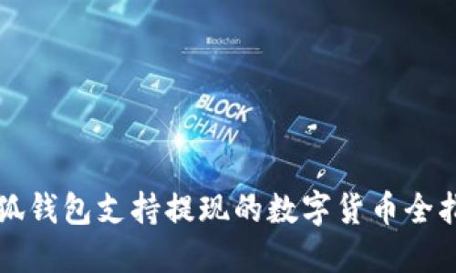 小狐錢包支持提現(xiàn)的數(shù)字貨幣全指南