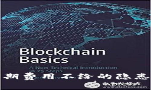 數字錢包前期費用不給的隱患與解決方案