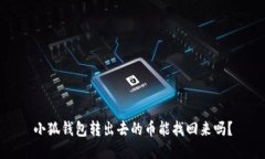 小狐錢(qián)包轉(zhuǎn)出去的幣能找