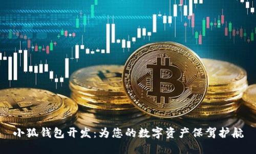小狐錢包開發(fā)：為您的數字資產保駕護航
