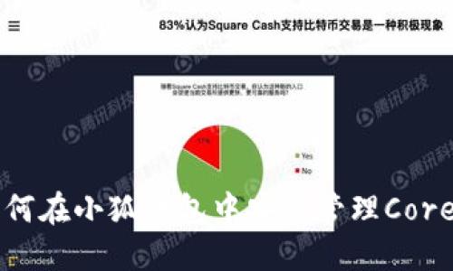 如何在小狐錢包中安全管理Core幣