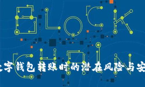小心！數(shù)字錢包轉(zhuǎn)賬時(shí)的潛在風(fēng)險(xiǎn)與安全措施