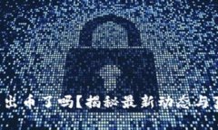 小狐錢包出幣了嗎？揭秘