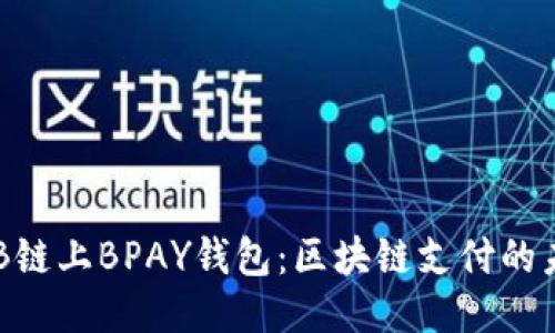 探知BNB鏈上BPAY錢(qián)包：區(qū)塊鏈支付的未來(lái)之路