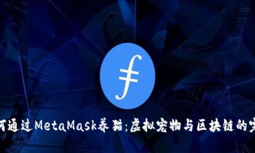 教你如何通過(guò)MetaMask養(yǎng)貓：虛擬寵物與區(qū)塊鏈的完美結(jié)合
