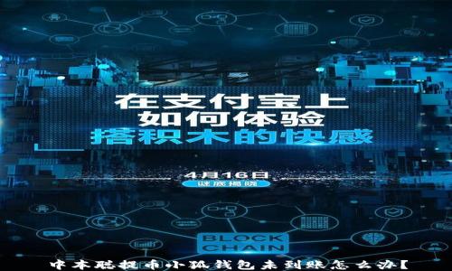 
中本聰提幣小狐錢(qián)包未到賬怎么辦？