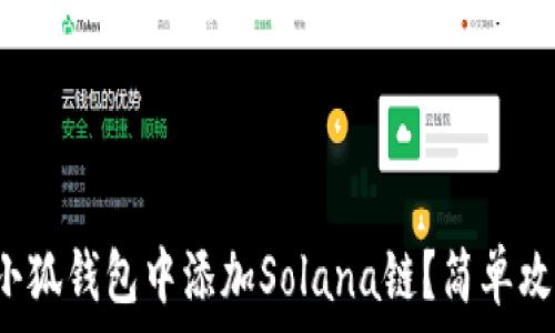   
如何在小狐錢包中添加Solana鏈？簡單攻略指南！
