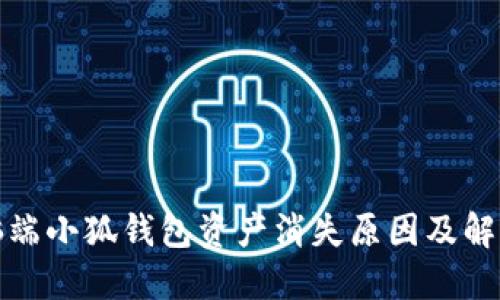 : 電腦端小狐錢(qián)包資產(chǎn)消失原因及解決方法
