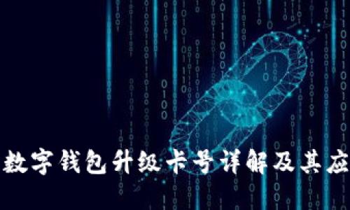 : 數(shù)字錢包升級(jí)卡號(hào)詳解及其應(yīng)用