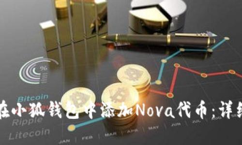 如何在小狐錢包中添加Nova代幣：詳細(xì)指南