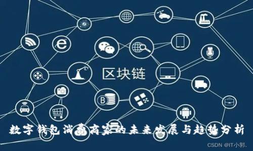 數(shù)字錢包消費(fèi)商家的未來(lái)發(fā)展與趨勢(shì)分析