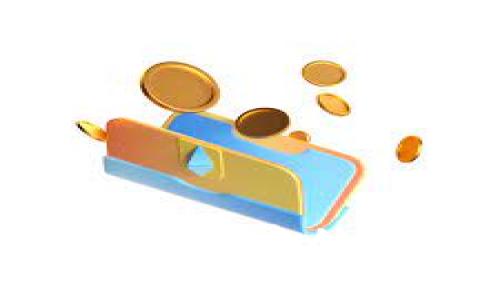 如何提取小狐錢包中的資金：詳細(xì)指南